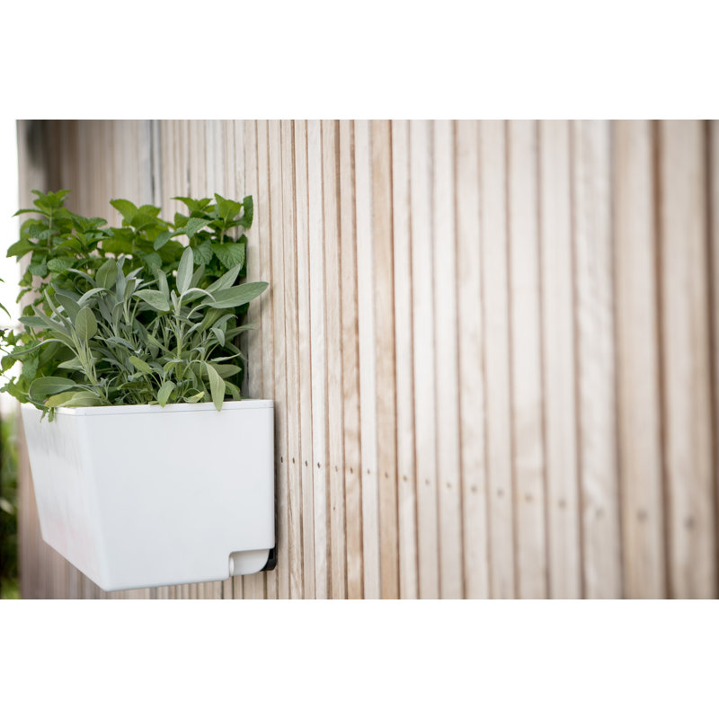 Symple Stuff Trotwood SelfWatering Plastic Wall Planter & Reviews